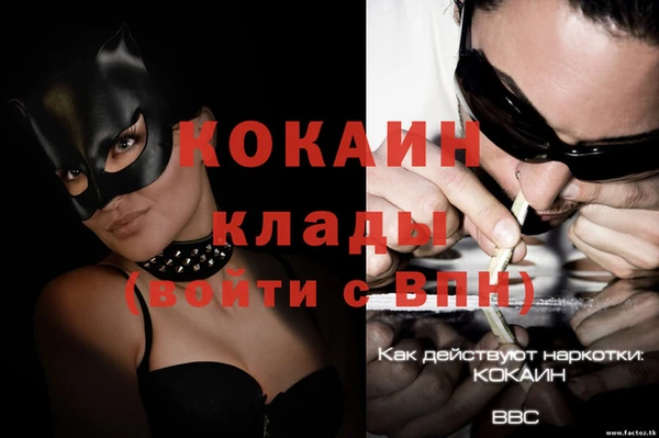 ПСИЛОЦИБИНОВЫЕ ГРИБЫ Вяземский