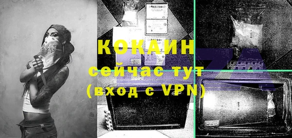 ПСИЛОЦИБИНОВЫЕ ГРИБЫ Вяземский