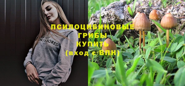 ALPHA-PVP Вязьма